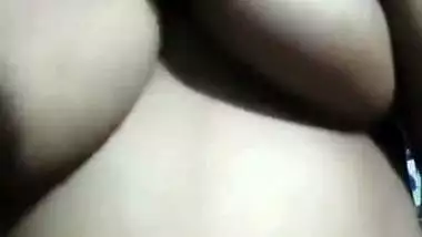 Desi Big Mangos 
